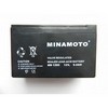 ,   :  MINAMOTO 1290 12V 9Ah 8