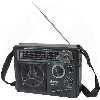 Радиоприемник RITMIX RPR-888 Black (FM / MV / SW1 / SW2, USB / SD, функция записи, встроенный аккумулятор)