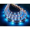 ,   :   FS-LED 3528SMD-300LED-12V-4.8W-IP67/tube-5m.Blue