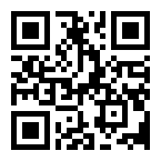   LCD Universal Charger N-038 ()